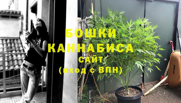 СК Аркадак